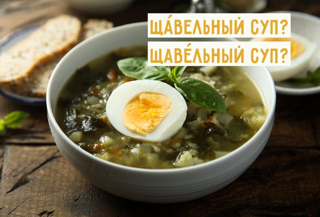 «Щавельный суп» или «щавелевый»? Как писать правильно и где ударение в этом слове