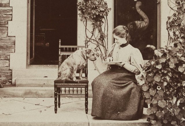 Они придумали кролика Питера, Нильса и волшебных фей: 8 сказочниц, о которых многие забыли (а зря)