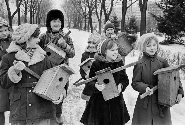 Юные нустки