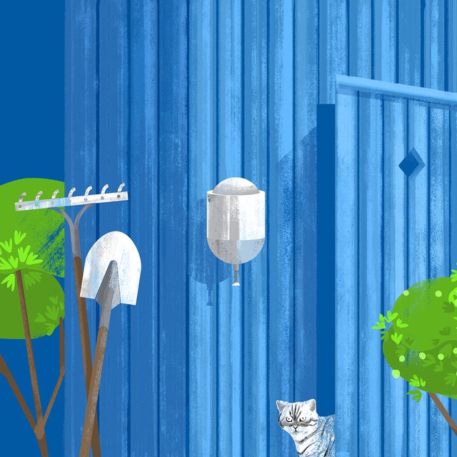 Сосны, салки на мопедах и легенда о мертвой корове: истории профессорских дач в Кратово