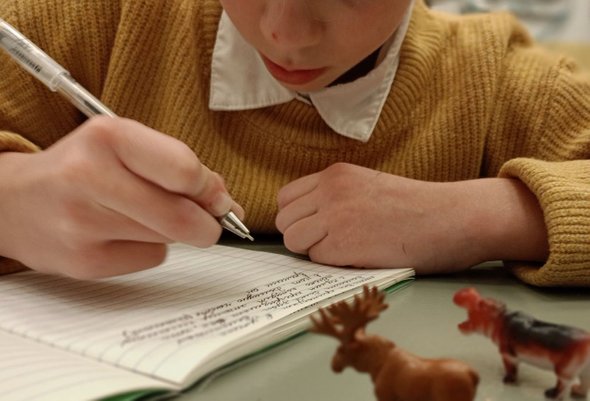 «Я попросила детей принести на урок игрушки». Учительница русского языка — о том, чем закончился такой эксперимент