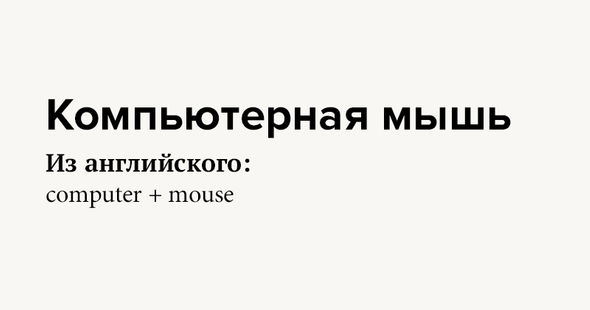 Компьютерная мышь Из английского: computer + mouse