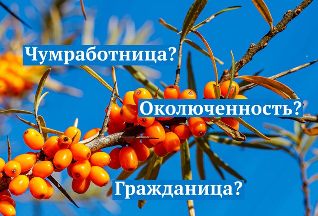 8 неожиданных слов и выражений, которые пополнили словарь русского языка в 2022 году