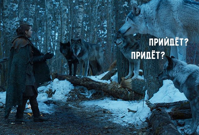 «Прийдёт» серенький волчок…