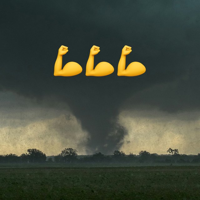 Какого рода слово «торнадо»? А «кенгуру» и «бандероль»? Почти невыполнимый тест на определение рода существительных