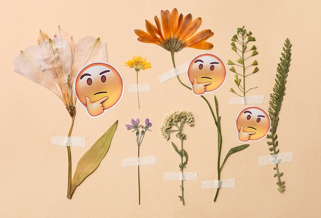 Тест по биологии для учеников 5-го класса: сможете ответить хотя бы на три вопроса?