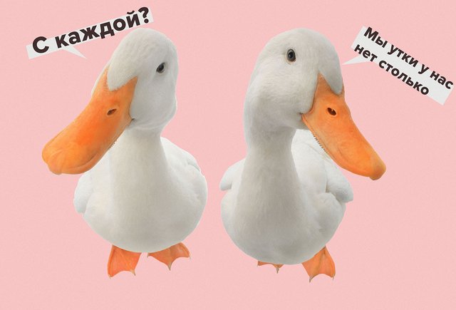 «Двадцать два суток» или «двадцать двое суток»: как говорить правильно