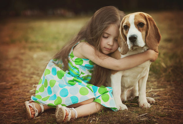 6 советов родителям, чьи дети просят завести питомца