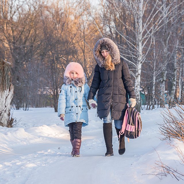 Более 80% российских горожан живут в 20 минутах ходьбы от школ или ближе