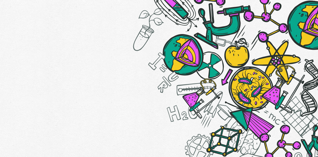 5 главных противоречий в школьной программе