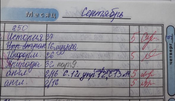 Фальшивые страницы дневника