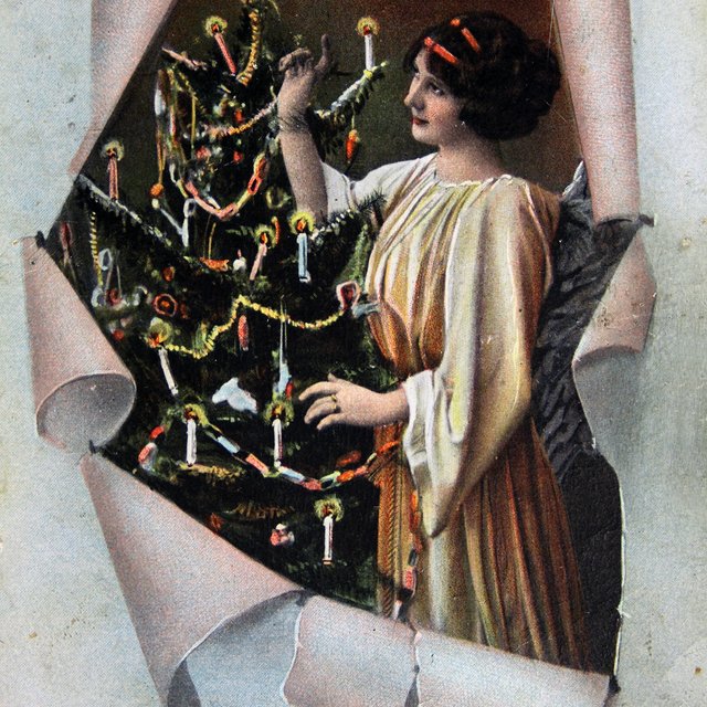 «Заглянуть под елку» — это вообще не про подарки. Мифы и легенды про новогоднее дерево