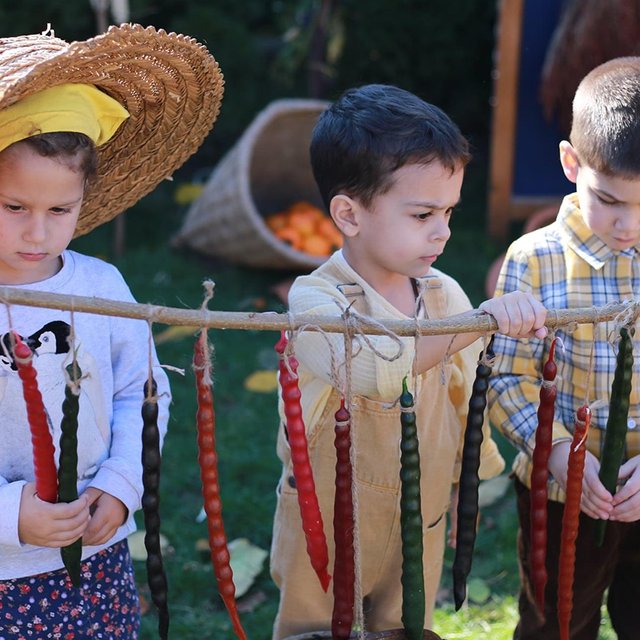 «Родители просят не водить детей на прогулки». Как устроены детские сады в Грузии