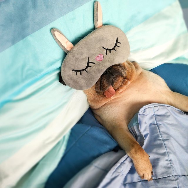 «В постели» или «в постеле»: как писать правильно