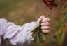 occupational therapy что это. Смотреть фото occupational therapy что это. Смотреть картинку occupational therapy что это. Картинка про occupational therapy что это. Фото occupational therapy что это