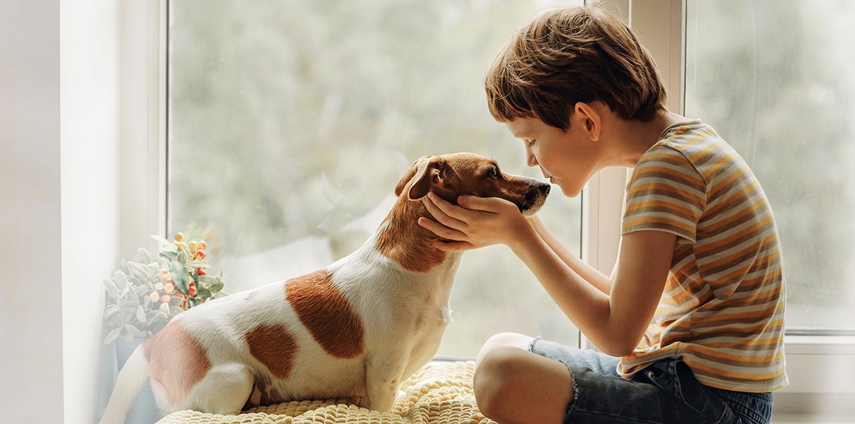 Что нужно знать перед покупкой собаки: советы родителям | Мел | Мел