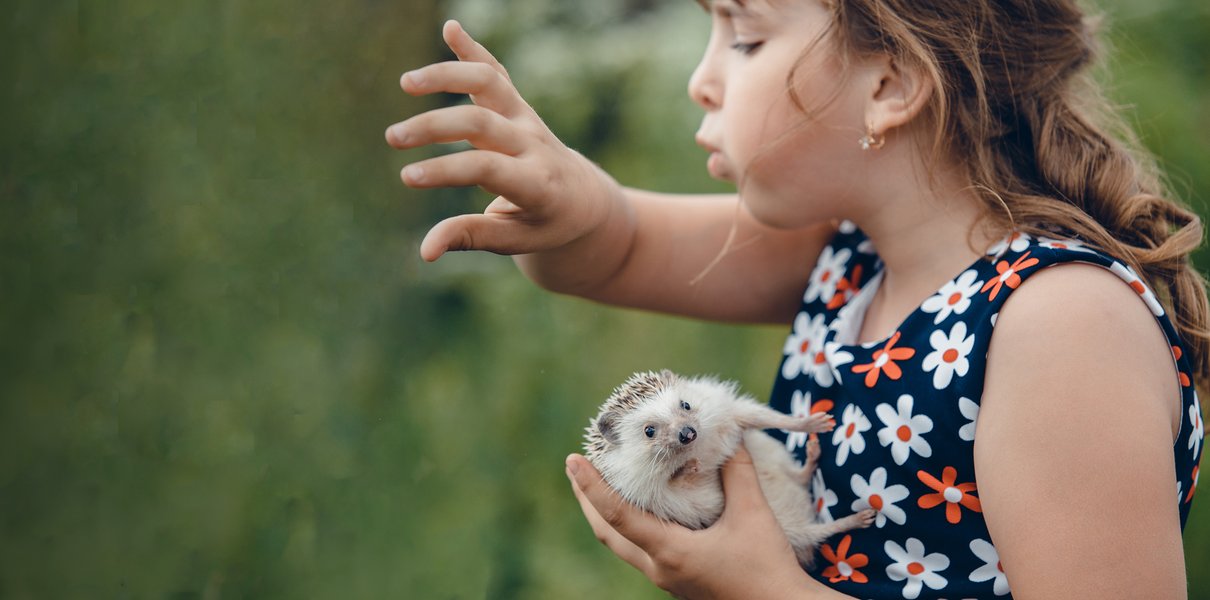 «Укусить может и зайчонок, и мышонок, и ежонок». Кого можно встретить летом на даче и что делать, чтобы никому не навредить