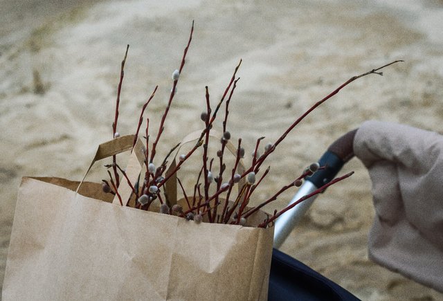 Работа не радует, ребенку скоро в первый класс, сил всё меньше: как не сойти с ума