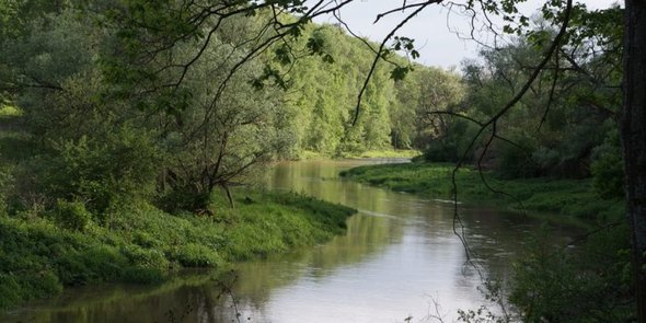 Небесные бобры
