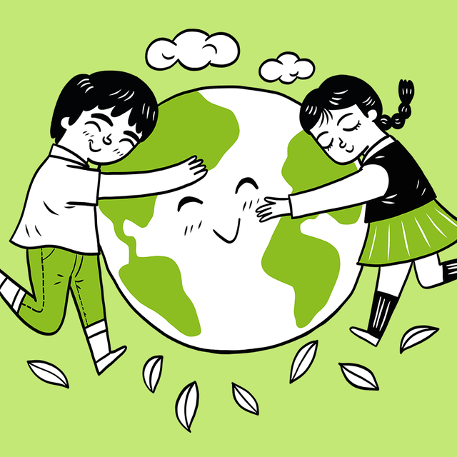 Занятия по экологии в школе: как провести их интересно