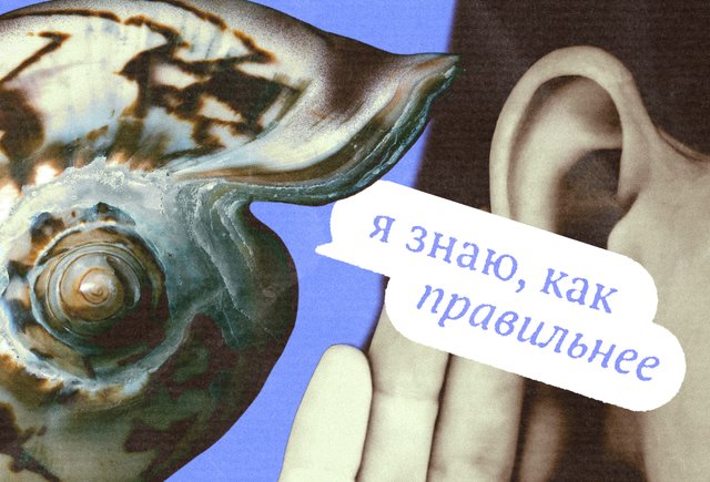 Обложка «Раку́шка» или «ра́кушка»? Как говорить правильно