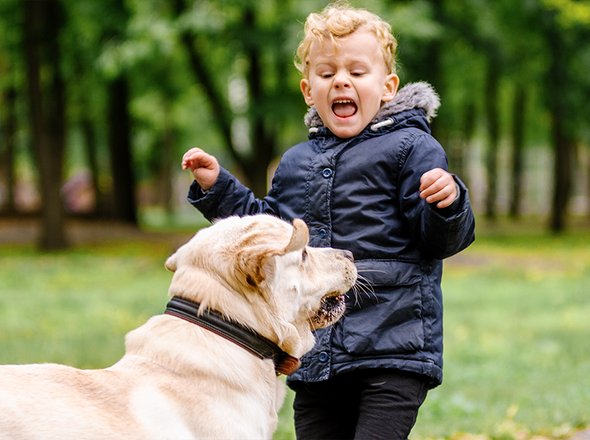 Купила щенка по объявлению и выбросила с балкона: откуда у детей жестокость к животным и что с этим делать