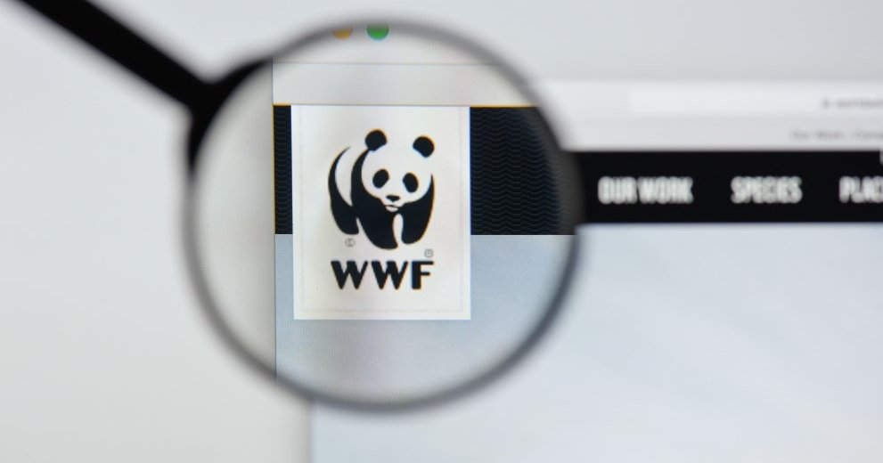 Wwf всемирный фонд дикой природы презентация