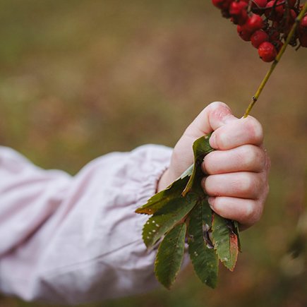 «Одноклассников напугали, что он чуть ли не смертельно больной». Как дети-бабочки ходят в школу