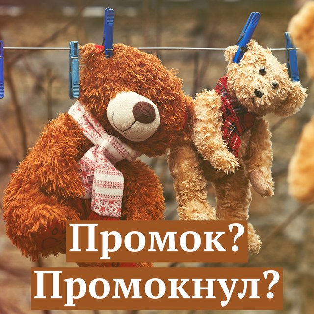 «Промок» или «промокнул»? Как говорить и писать правильно