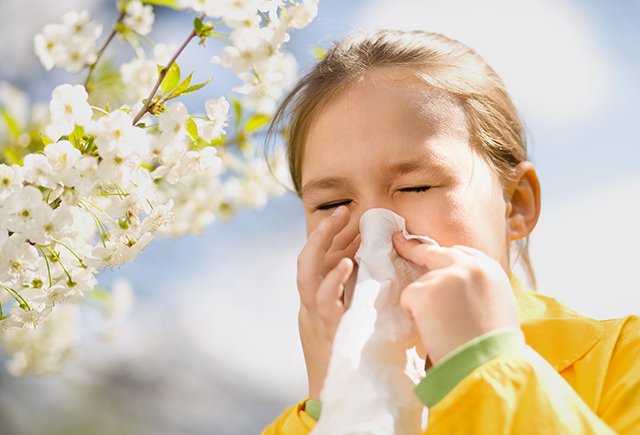 Как понять, что у ребёнка не насморк, а аллергия на цветение?