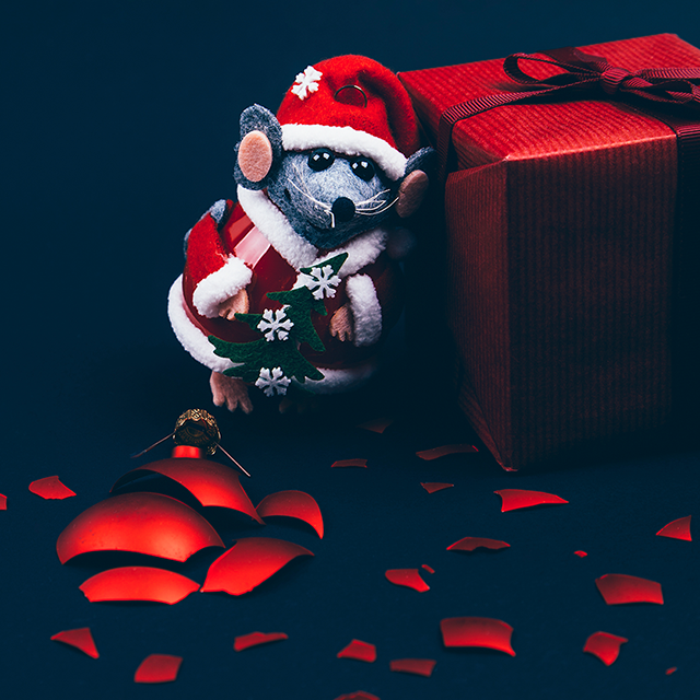 «Как год встретишь, так его и проведёшь». Почему мы с детства привыкаем верить в приметы и суеверия