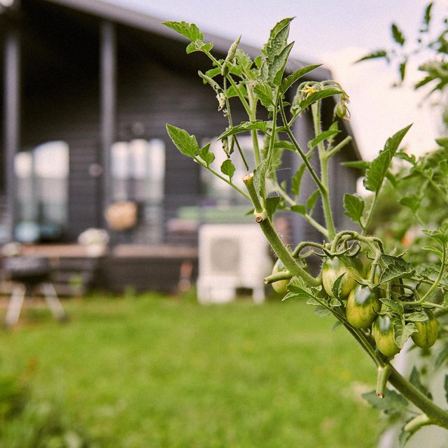 «Максимум, что может случиться с ребенком, — набьет шишку». 8 семей из Москвы и Питера — о том, почему они решили переехать за город