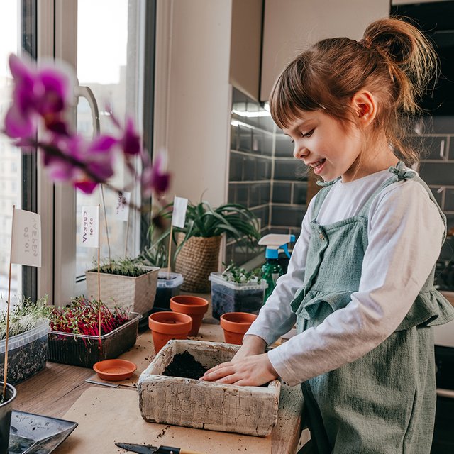 10 растений, которые можно посадить с детьми на балконе: получится даже у тех, кто не держит дома цветы