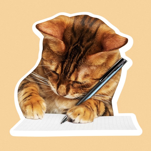 Я левша и хочу изменить почерк: как это сделать?