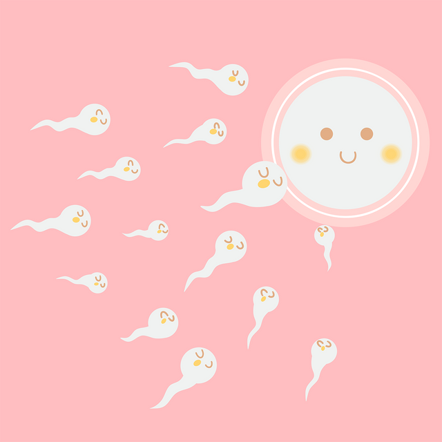 7 неловких вопросов о половом воспитании дошкольников: ребёнок трогает себя «там», спрашивает про секс и не только