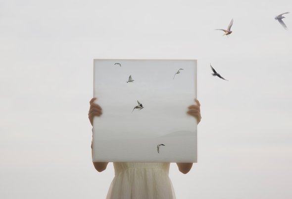 дверь, самоанализ, женщина, художник, границы, концепция, легкость, умственный, птицы, надежда, освобождение, жизнь, иллюзия, удержание, метафора, свобода, идентичность, птица, связь, возрождение, творчество, выход, побег, поэзия, граница, сюрреалистический, мысли, холст, эмоции, выражение, фантазия, природа, потребность, белое платье, абстракция, девушка, воображение, приключение, на открытом воздухе, лицо, тайна, мечта, будущее, человек, полет, путешествие, веселье;