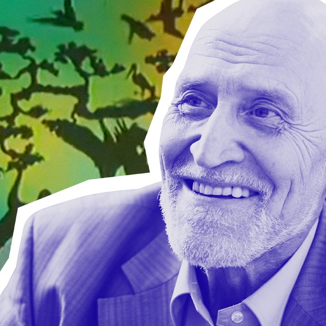 7 культовых выпусков «В мире животных» — с Николаем Дроздовым и (внезапно!) другими ведущими