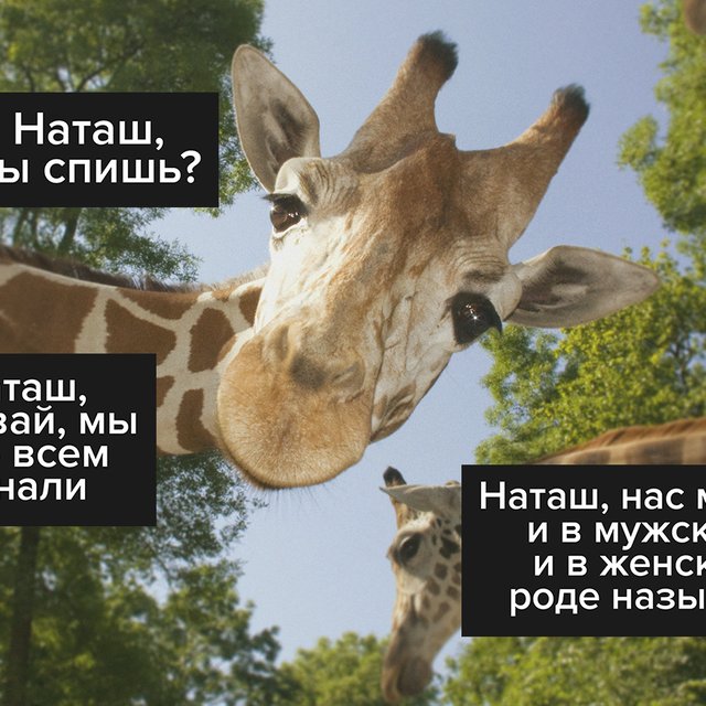 6 слов, которые можно использовать и в мужском, и в женском роде