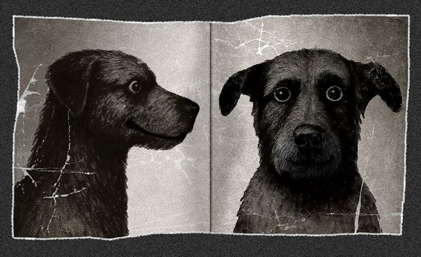 «Мох. История одного пса» — история собачьей во всех отношениях жизни (12+)