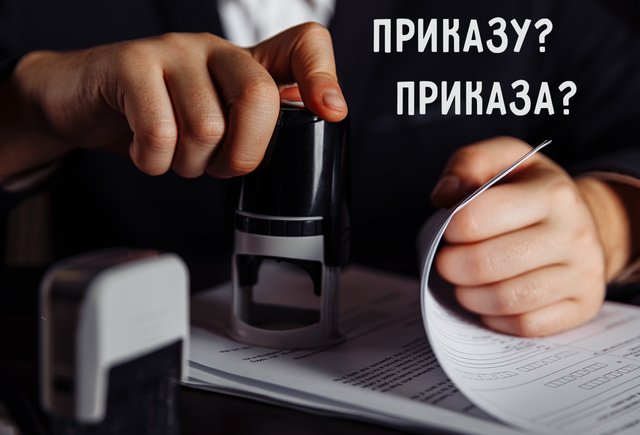 «Согласно приказу» или «согласно приказа»: как писать правильно