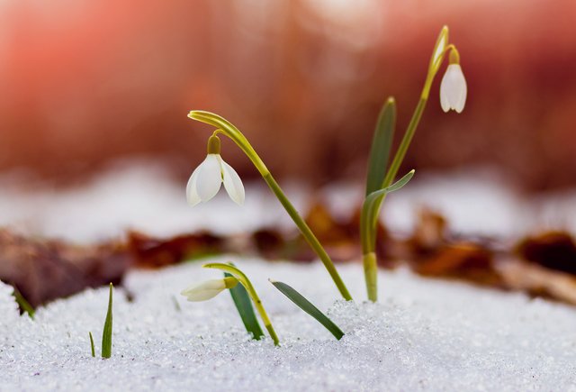 Как правильно: «март-месяц» или «март месяц»? И нужно ли здесь вообще слово «месяц»?