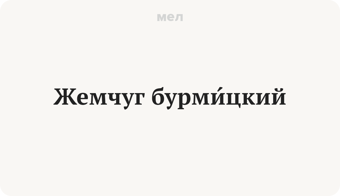 Непонятные слова аленький цветочек. Аленький цветочек непонятные слова. Непонятные слова Аленький. Значение слова жемчуга Бурмицкого.