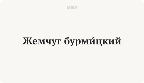 Жемчуг бурмИцкий