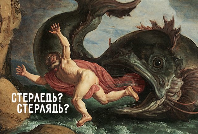 Конъяк и стерледь. Или стерлядь и коньяк? Проверьте, готовы ли вы к Тотальному диктанту