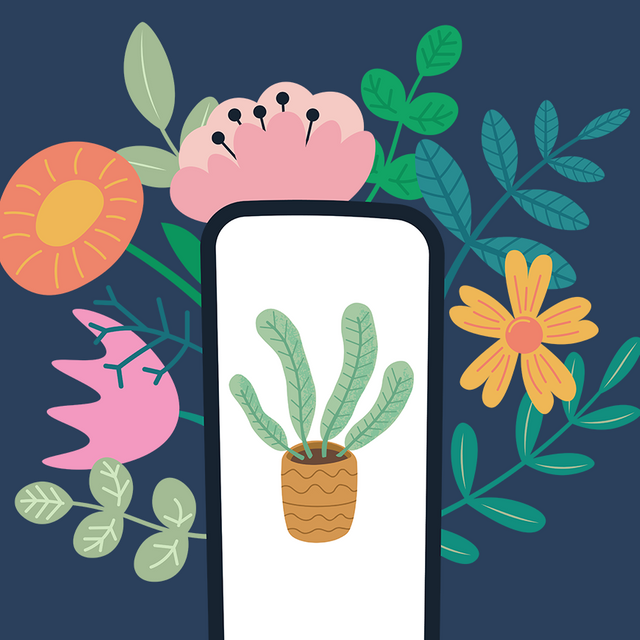 Что это за растение? 5 приложений для начинающих ботаников и цветоводов