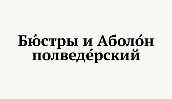 Почему у левши из сказа Лескова нет имени и его прозвище пишется с маленькой буквы?