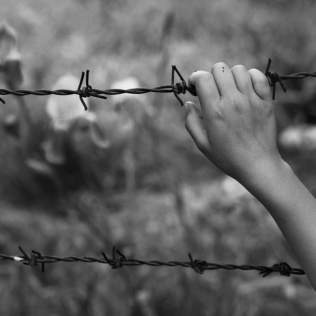 Дети ГУЛАГа, которые так и не вернулись домой. Как семьи репрессированных пытаются добиться справедливости