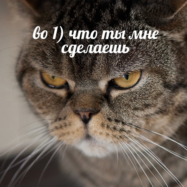 «Во-первых» или «во 1-ых»: как писать правильно