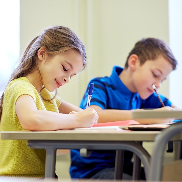 Это тапир или броненосец? Тест: пройдете ли вы ВПР по «окружайке» в начальной школе