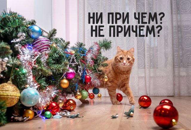 Как правильно: «не причём» или «ни при чём»